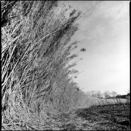 la vague
